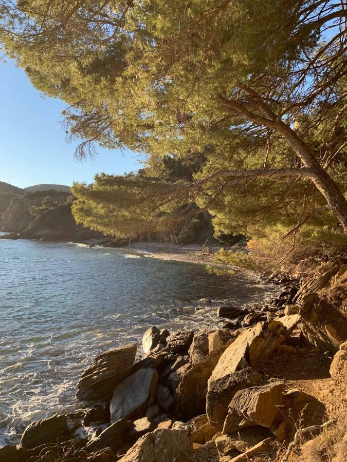 Villa Cavalaire Sur Mer Exteriör bild